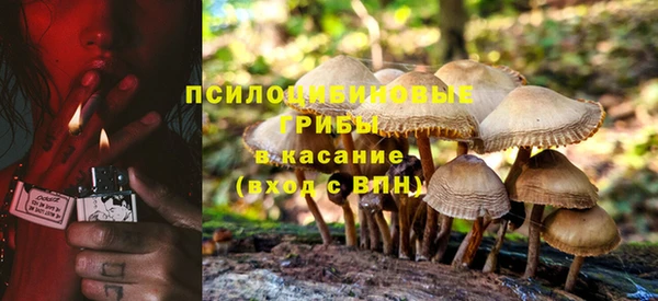 apvp Нефтекумск