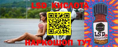 ПСИЛОЦИБИНОВЫЕ ГРИБЫ Коммунар