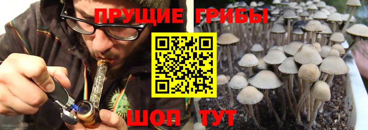 Галлюциногенные грибы ЛСД  Вход с VPN  Кисловодск  Псилоцибиновые грибы Cubensis 